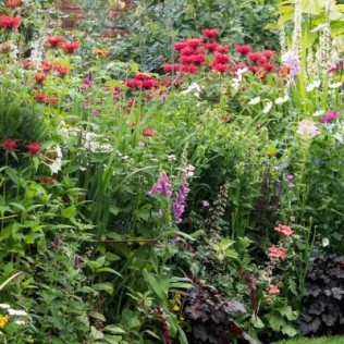 HERBACEOUS BORDER