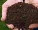 garden-compost