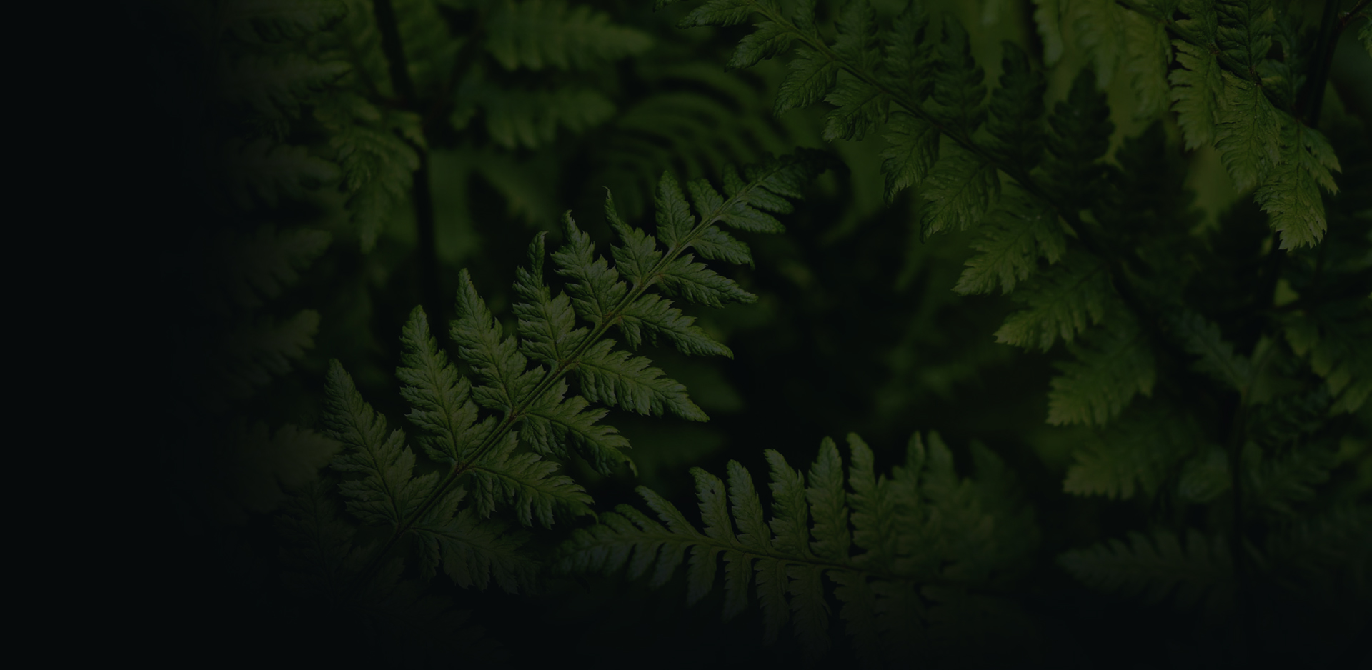 Schram.ie hero background image